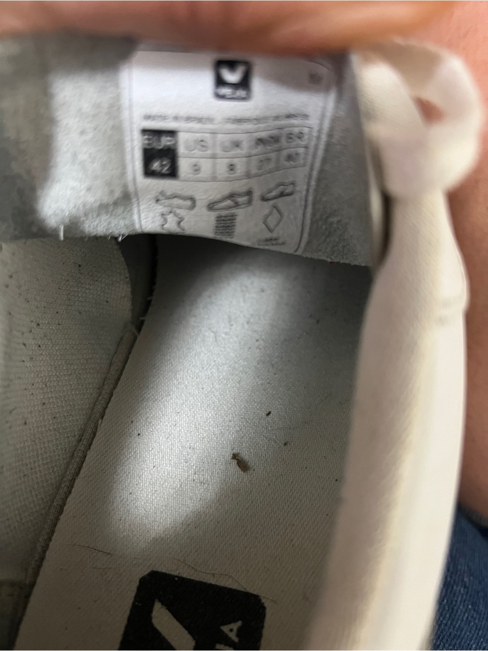 Vans White Sneaker with Navy V Accent - Picture 4 of 4